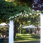 Arco 1