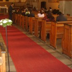 Camino de Flor 3